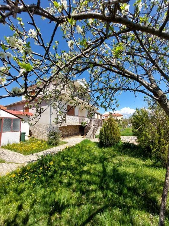Prespa'S Balcony Guesthouse Dolna Gorica Екстериор снимка